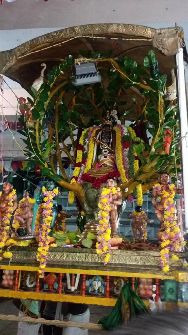 Thirukkannapuram-Sri-Sowriraja-Perumal_02