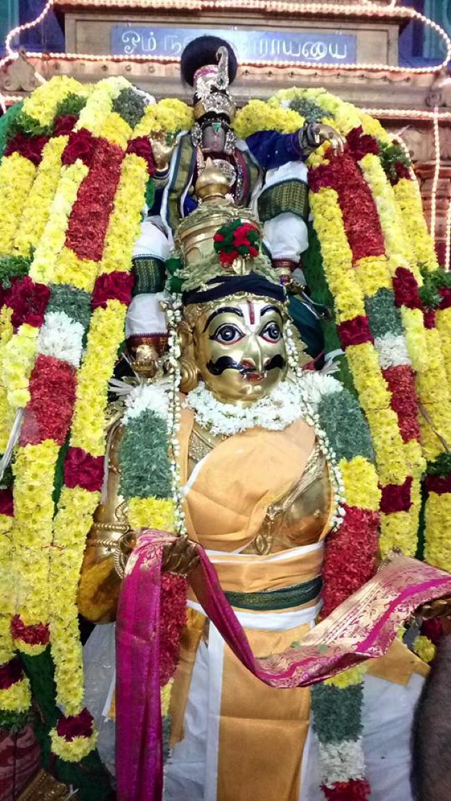 Thirukkannapuram-Sri-Sowriraja-Perumal_03