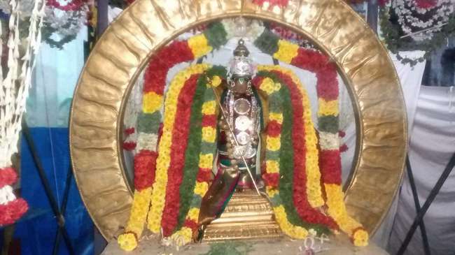 Thirukkannapuram-Sri-Sowriraja-Perumal_03
