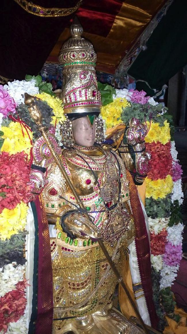 Thirukkannapuram-Sri-Sowriraja-Perumal_04