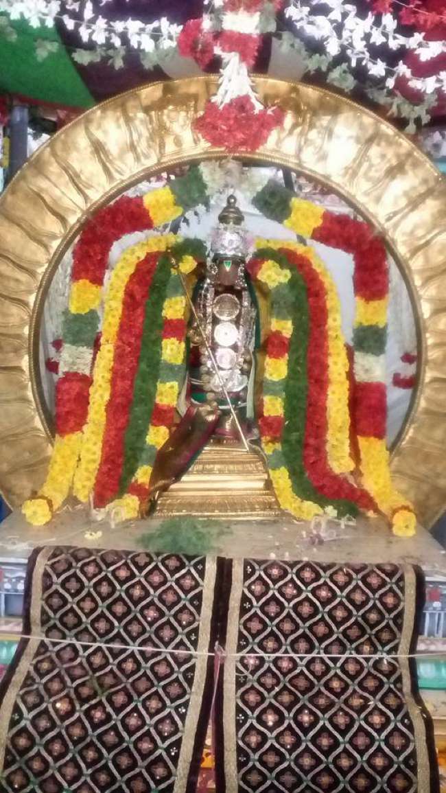 Thirukkannapuram-Sri-Sowriraja-Perumal_05