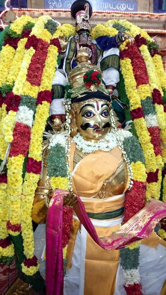 Thirukkannapuram-Sri-Sowriraja-Perumal_06