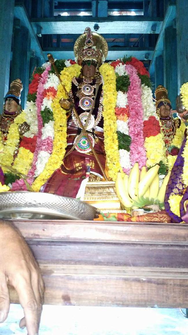 Thirukkannapuram-Sri-Sowriraja-Perumal_09