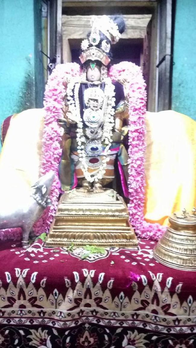 Thirukkannapuram-Sri-Sowriraja-Perumal_10