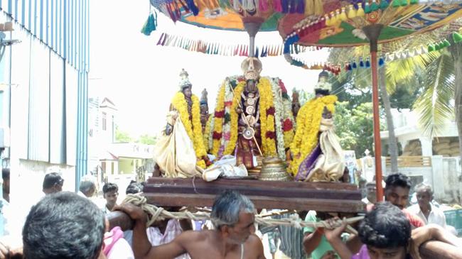 Thirukkannapuram-Sri-Sowriraja-Perumal_12