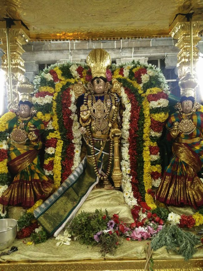 Thirukkudanthai-Sri-Aravamudhan-Perumal_05