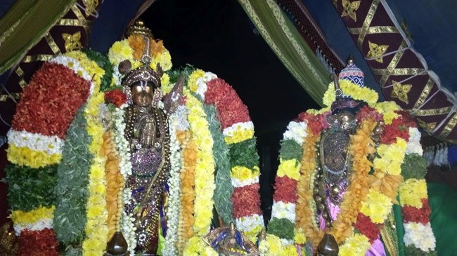 Thirunangur-Garuda-Sevai_08