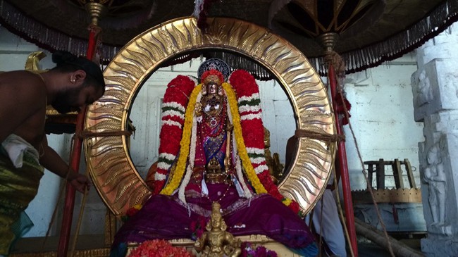Thirunarayanapuram-Thiru-Narayana-Perumal_00
