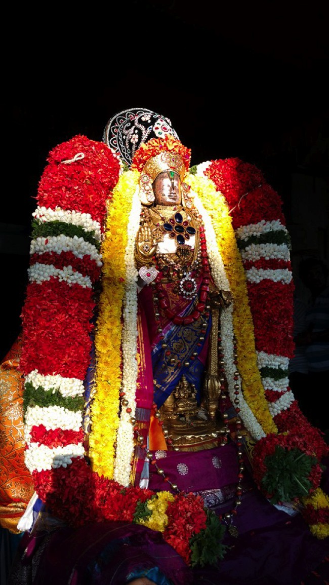 Thirunarayanapuram-Thiru-Narayana-Perumal_03