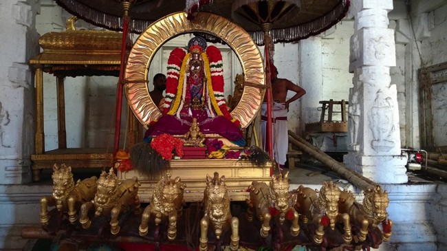 Thirunarayanapuram-Thiru-Narayana-Perumal_04