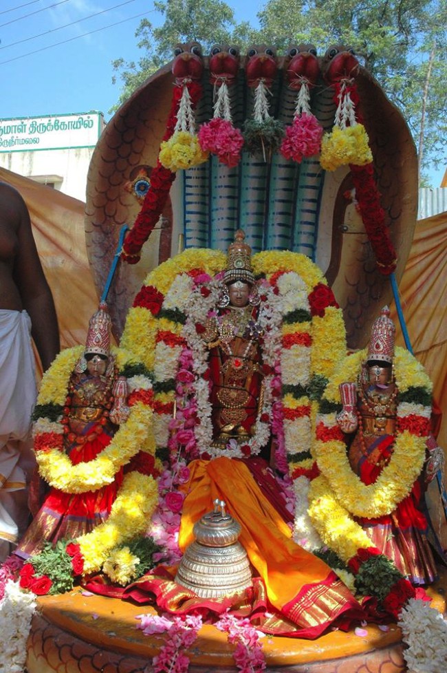 Thiruneermalai-Sri-Ranganatha-Perumal_04