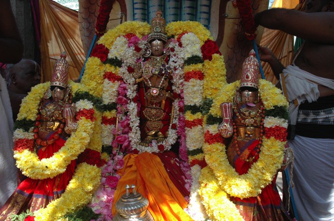Thiruneermalai-Sri-Ranganatha-Perumal_13