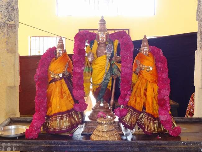 Thiruvahindrapuram Sri Devanatha perumal rathasapthami purappadu 2016011
