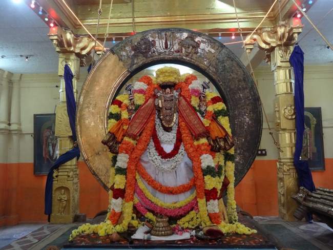 Thiruvahindrapuram Sri Devanatha perumal rathasapthami purappadu 2016013