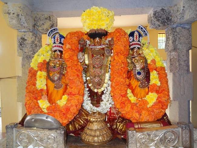 Thiruvahindrapuram Sri Devanatha perumal rathasapthami purappadu 2016017