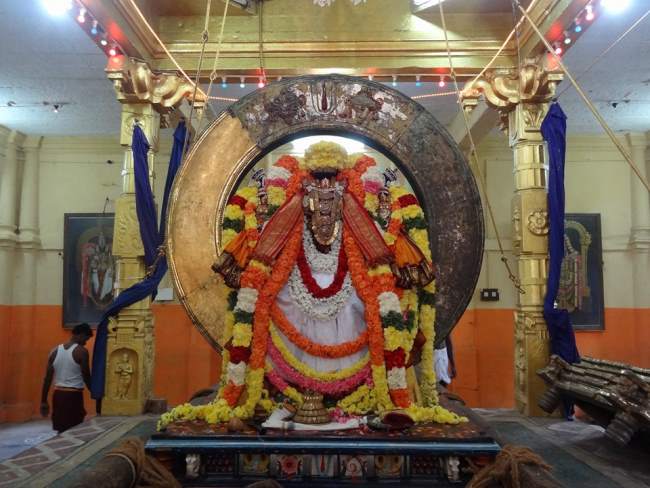 Thiruvahindrapuram Sri Devanatha perumal rathasapthami purappadu 2016019
