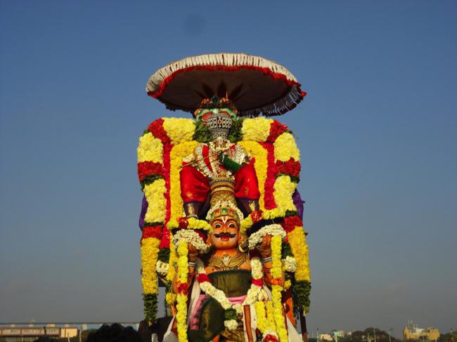 Thiruvallikeni-Masi-Magam-Theerthavari_01