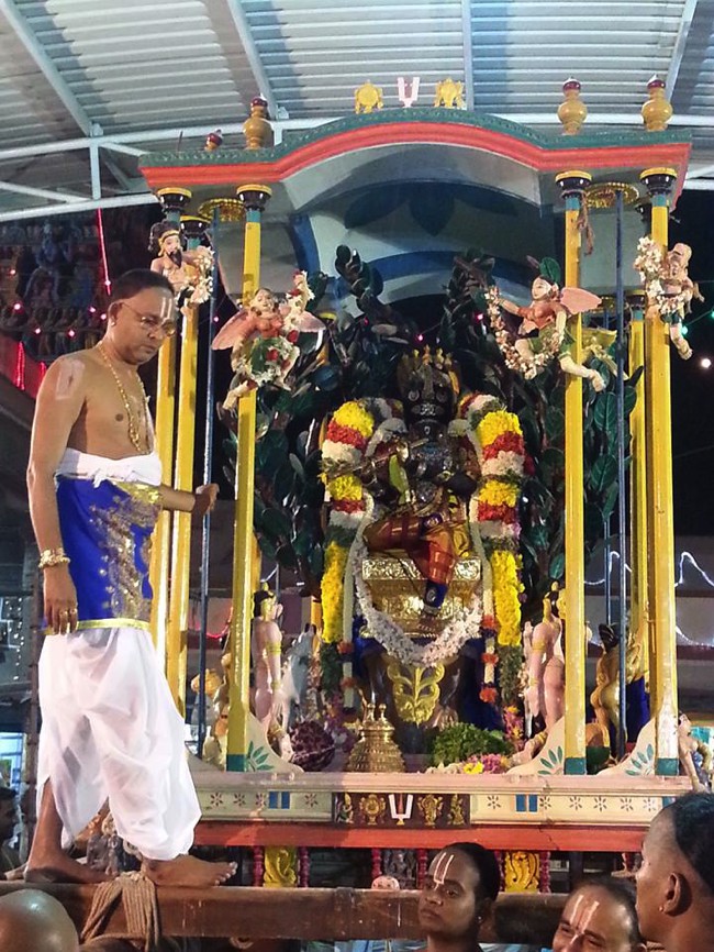 Thiruvallikeni-Sri-Parthasarathy-Swamy_01