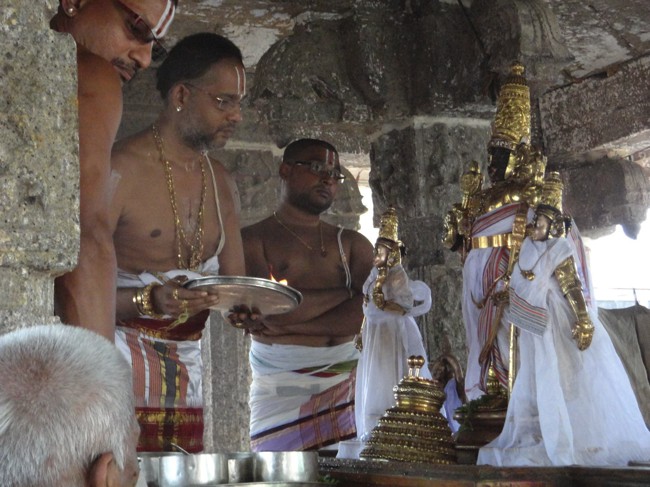 Thiruvallikeni-Sri-Parthasarathy-Swamy_02