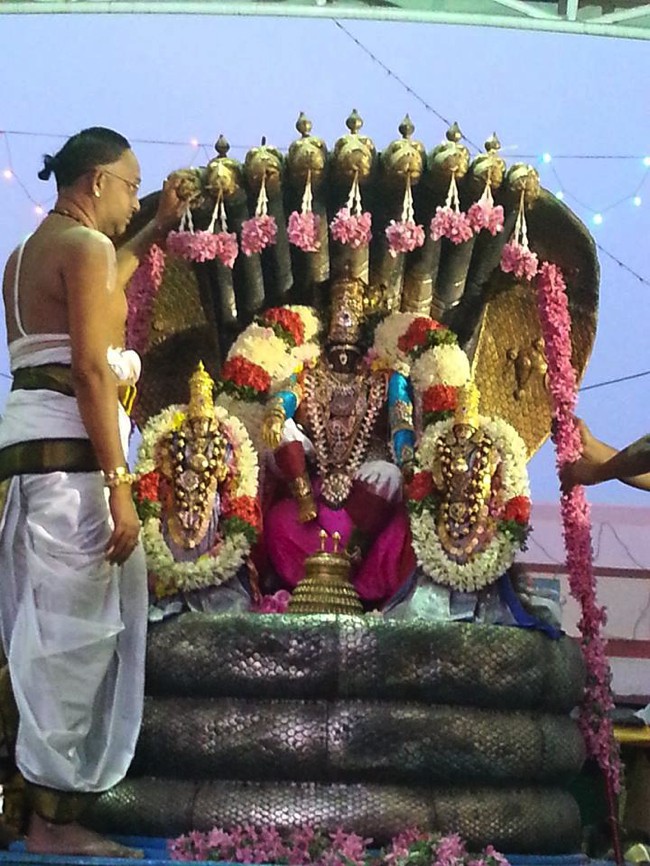 Thiruvallikeni-Sri-Parthasarathy-Swamy_03