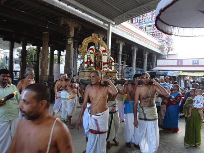 Thiruvallikeni-Sri-Parthasarathy-Swamy_03
