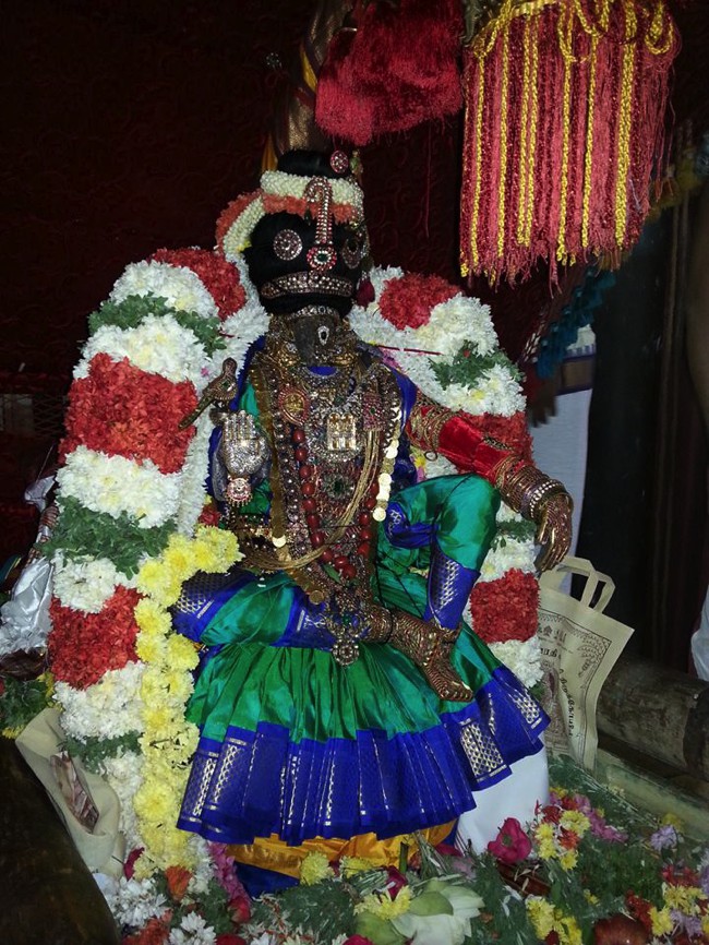 Thiruvallikeni-Sri-Parthasarathy-Swamy_04