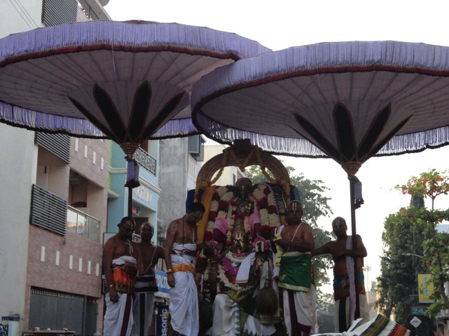 Thiruvallikeni-Sri-Parthasarathy-Swamy_05