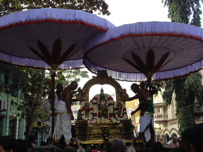 Thiruvallikeni-Sri-Parthasarathy-Swamy_07
