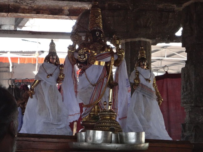 Thiruvallikeni-Sri-Parthasarathy-Swamy_17
