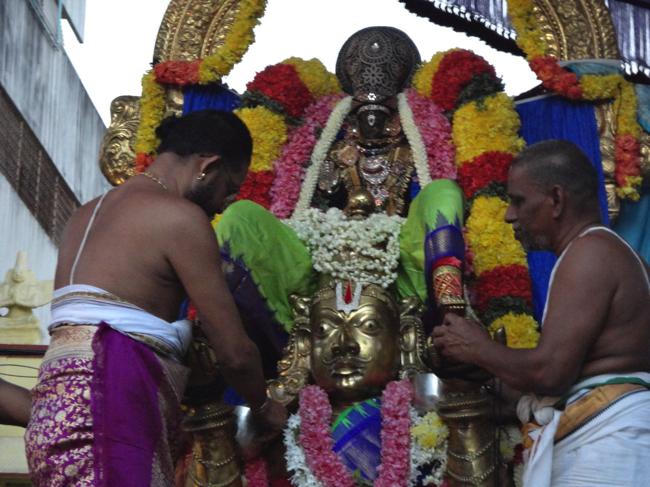 Thiruvallikeni-Sri-Parthasarathy-Swamy_18
