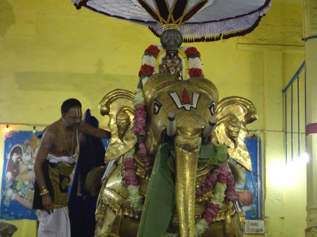 Thiruvallikeni-Sri-Parthasarathy-Swamy_19
