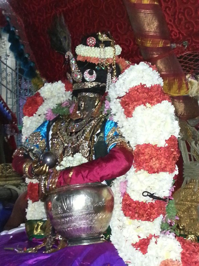 Thiruvallikeni-Sri-Parthasarathy-Swamy_19