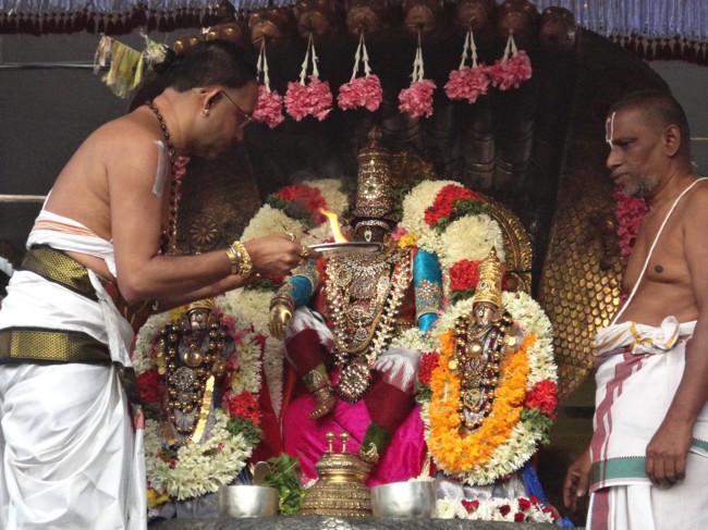 Thiruvallikeni-Sri-Parthasarathy-Swamy_21