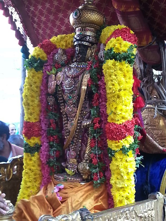 Thiruvallikeni-Sri-Parthasarathy-Swamy_22