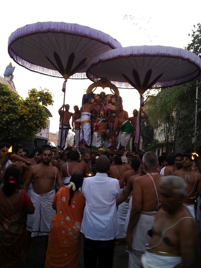 Thiruvallikeni-Sri-Parthasarathy-Swamy_26