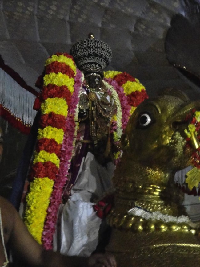 Thiruvallikeni-Sri-Parthasarathy-Swamy_27