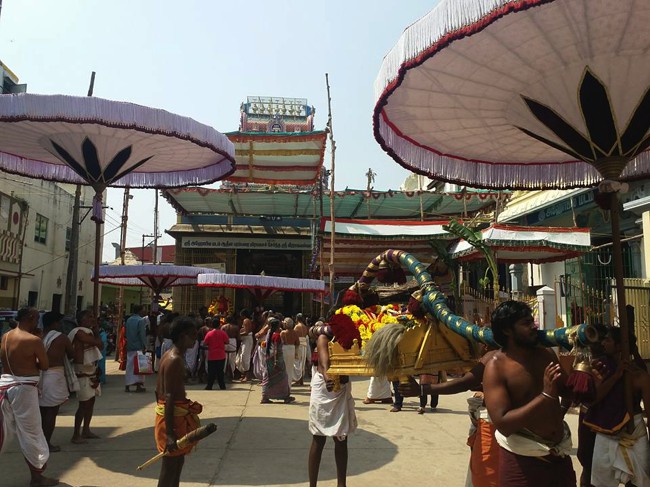 Thiruvallur-Sri-Ahobila-Mutt_11