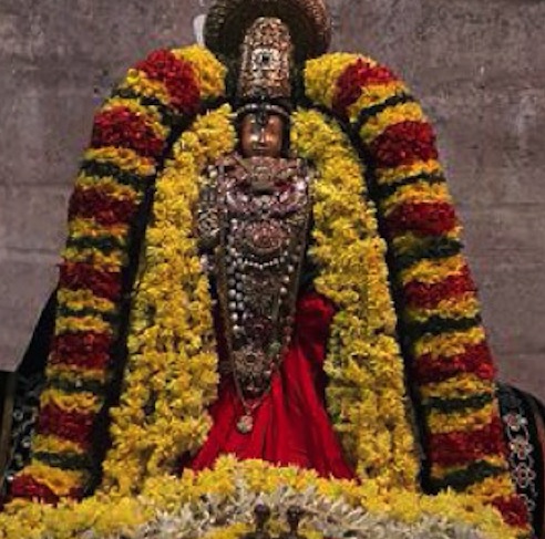 Thiruvallur-Sri-Veeraraghava-Perumal