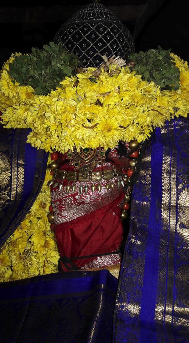 Thiruvallur-Sri-Veeraraghava-Perumal_00
