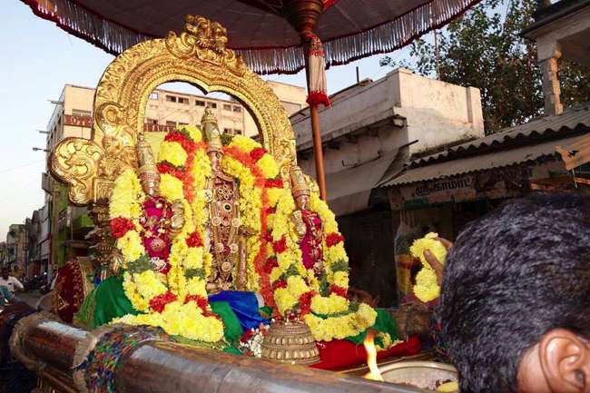 Thiruvallur-Sri-Veeraraghava-Perumal_00