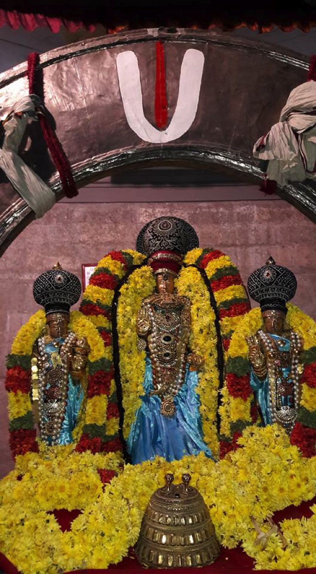 Thiruvallur-Sri-Veeraraghava-Perumal_02