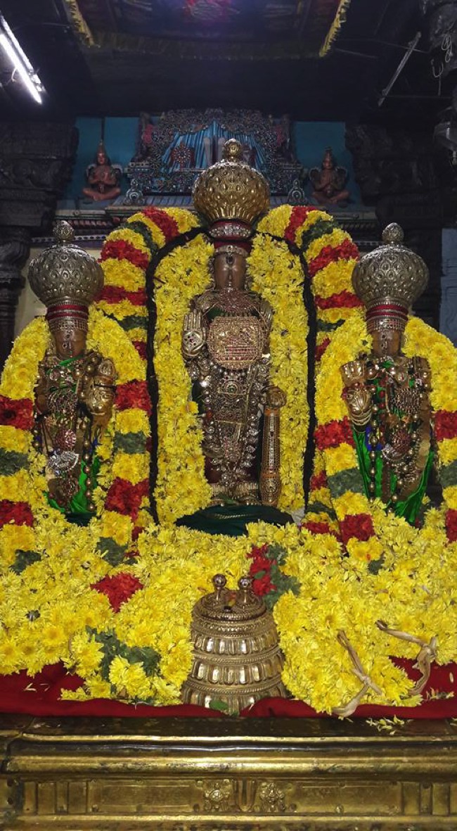 Thiruvallur-Sri-Veeraraghava-Perumal_05