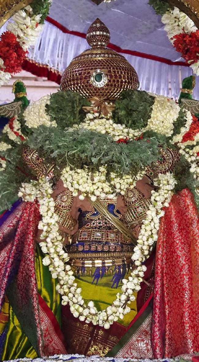Thiruvallur-Sri-Veeraraghava-Perumal_08