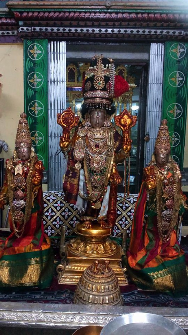 Thiruvallur-Sri-Veeraraghava-Perumal_09