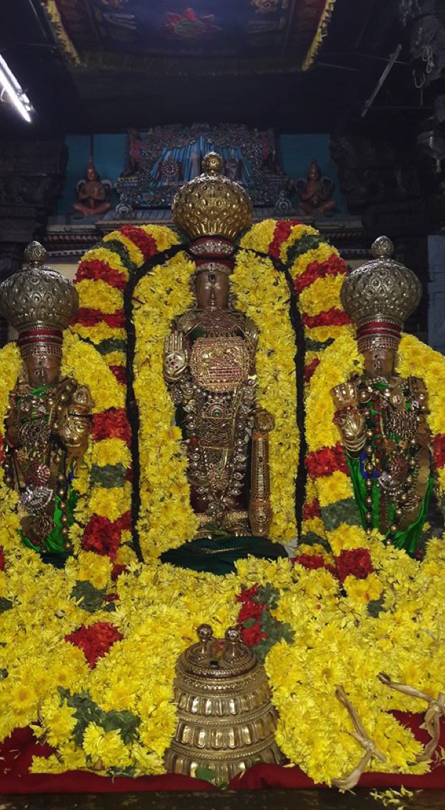 Thiruvallur-Sri-Veeraraghava-Perumal_15