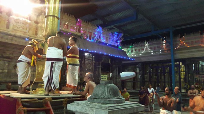 Thiruvallur-Sri-Veeraraghava-Perumal_16