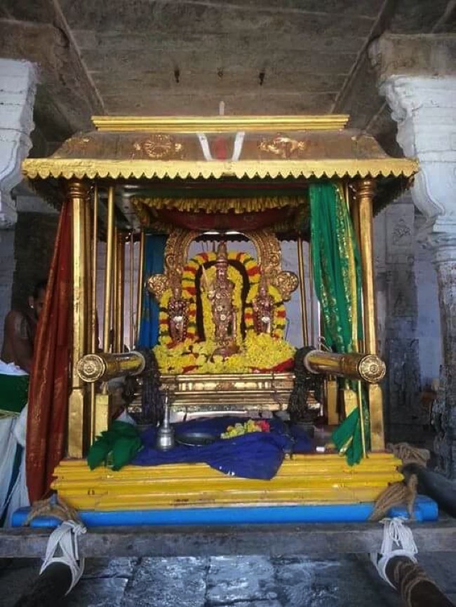 Thiruvallur-Sri-Veeraraghava-Perumal_17
