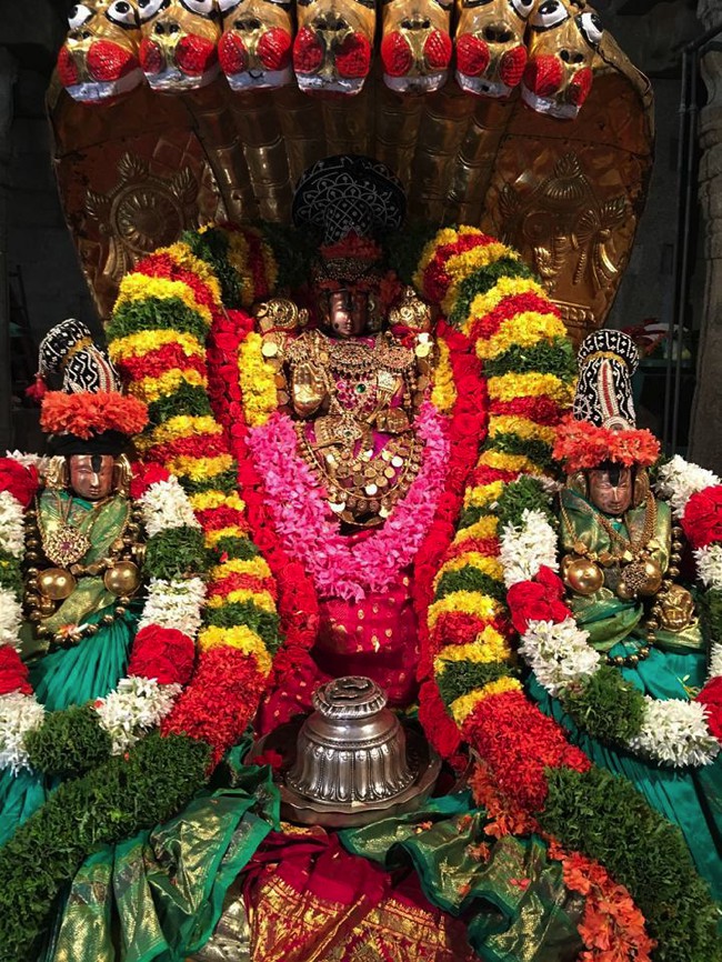Tirupathi-Sri-Govindaraja-Swamy_02