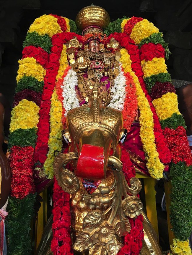 Tirupathi-Sri-Govindaraja-Swamy_07