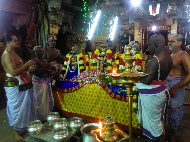 Vanamamalai-Sri-Deivanayaga-Perumal_00